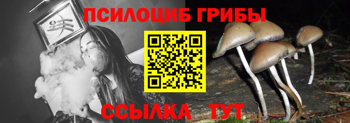 Горячий Ключ  Галлюциногенные грибы GOLDEN TEACHER  Псилоцибиновые грибы Psilocybine cubensis  Вход с VPN 