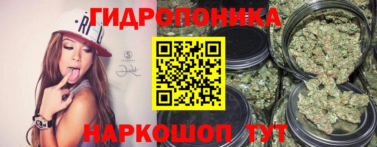 Конопля индика  МАРИХУАНА индика  Бошки марихуана ГИДРОПОН  Конопля Amnesia  Горячий Ключ  Вход с VPN 